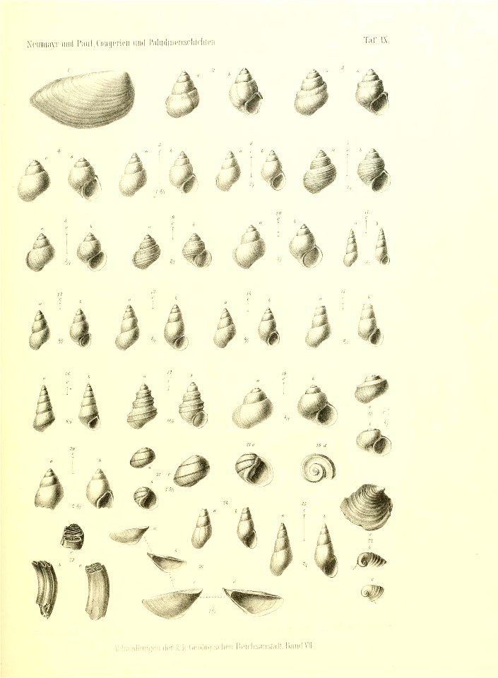 n160_w1150