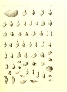 n160_w1150