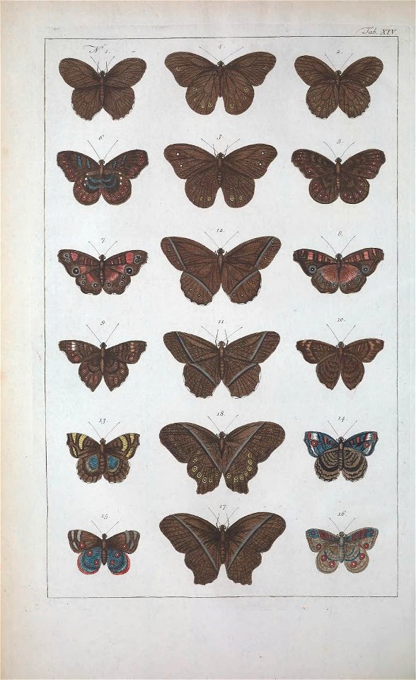 n95_w1150