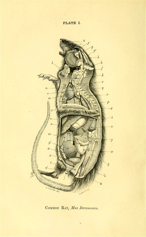 n341_w1150
