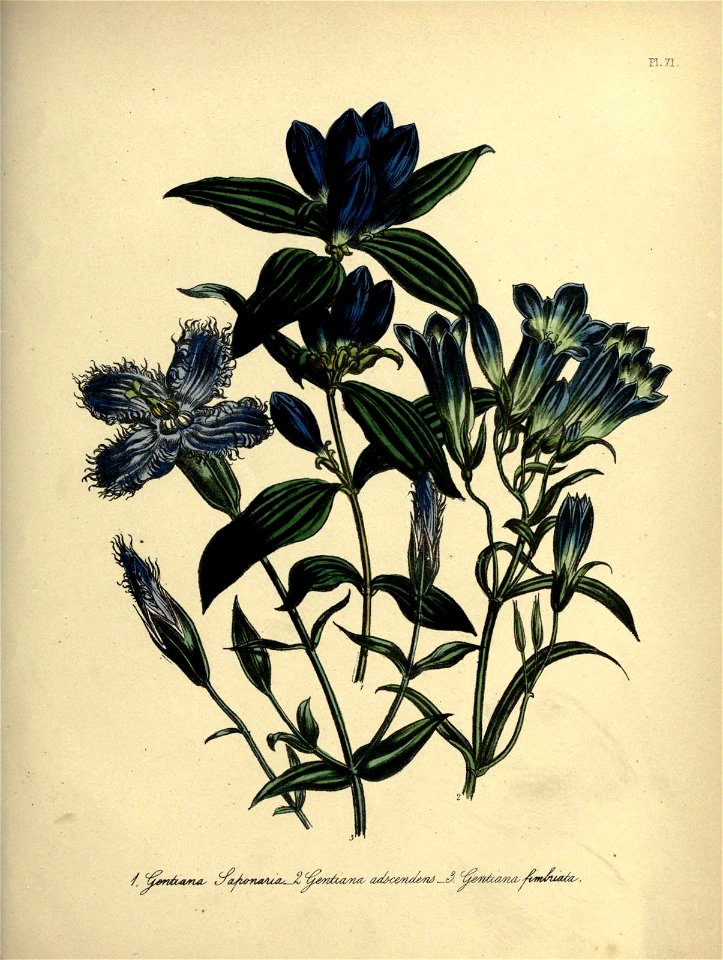 n568_w1150