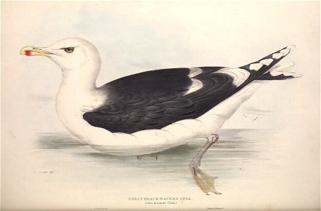 n349_w1150