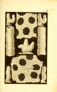 n196_w1150