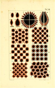 n252_w1150