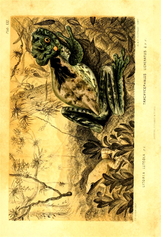 n402_w1150