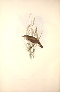n219_w1150