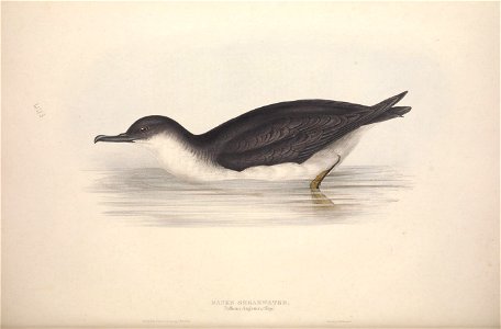 n401_w1150