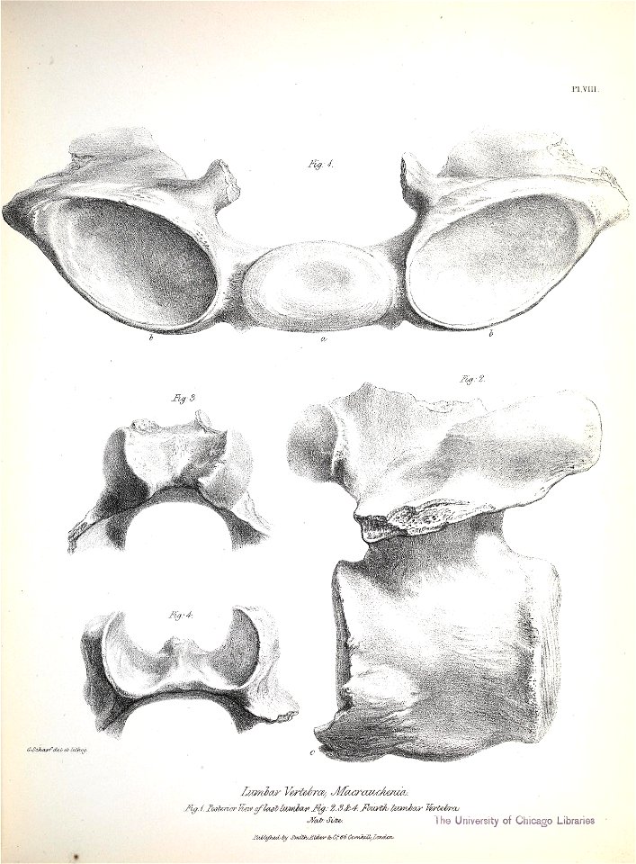 n156_w1150