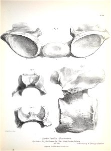 n156_w1150