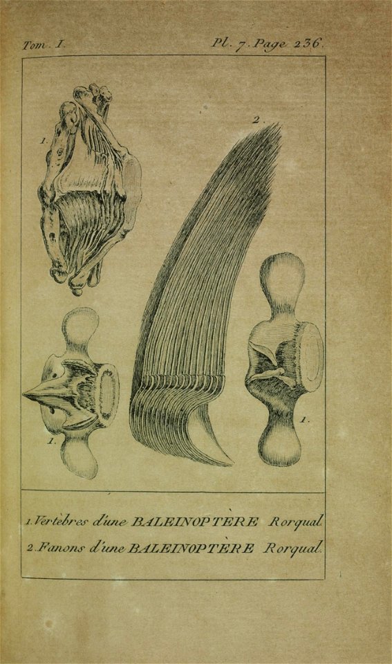 n264_w1150