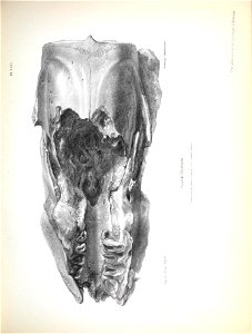 n212_w1150