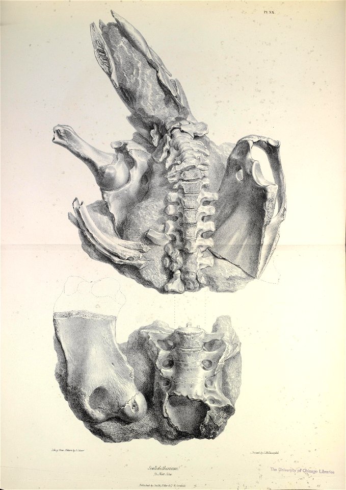 n204_w1150