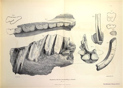 n144_w1150