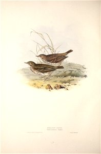 n355_w1150