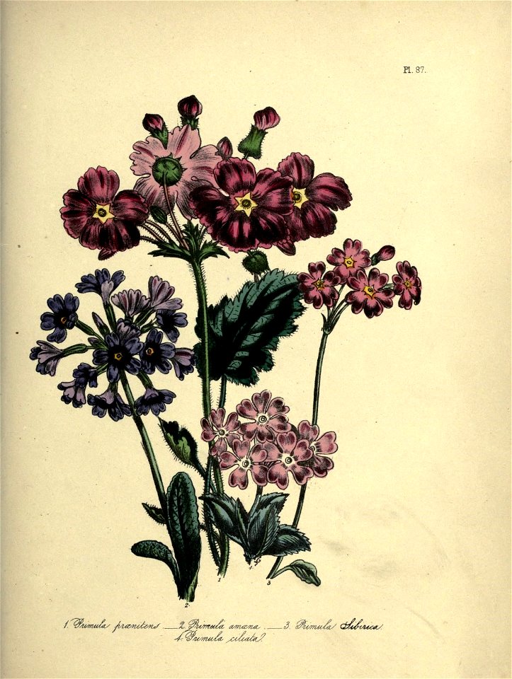 n694_w1150