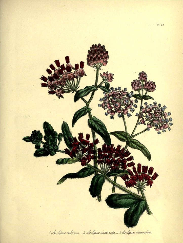 n554_w1150