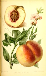 n568_w1150