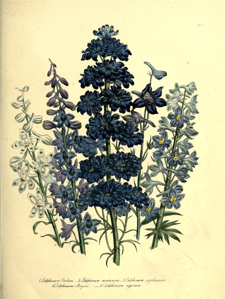 n90_w1150