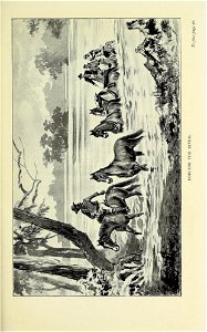 n116_w1150