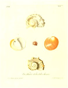 n59_w1150