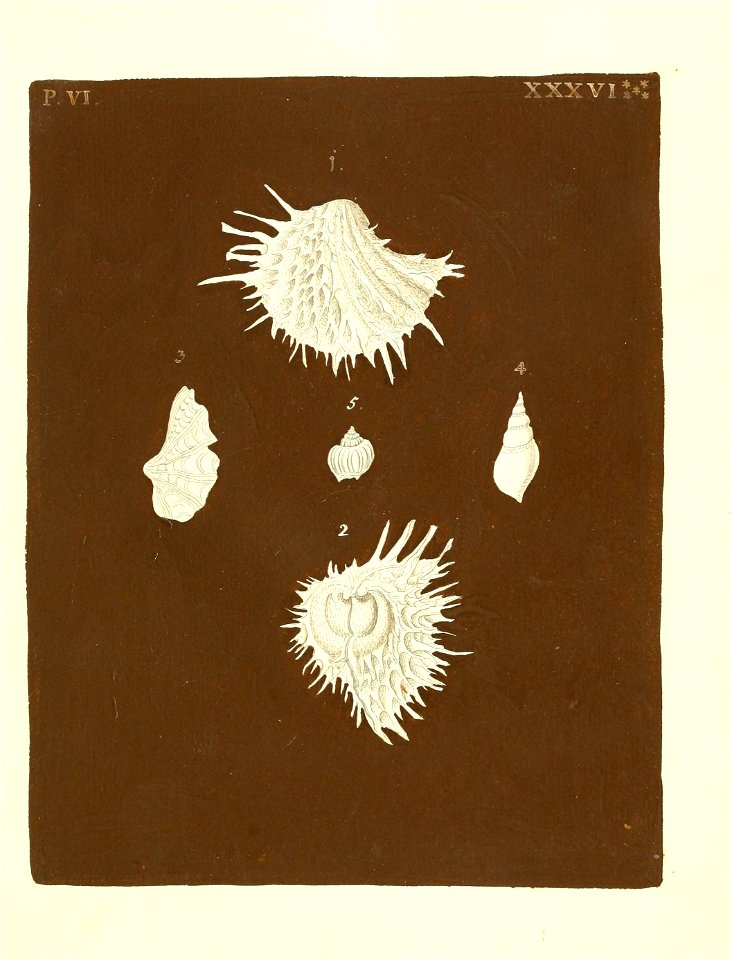 n368_w1150