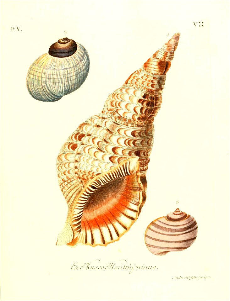 n206_w1150