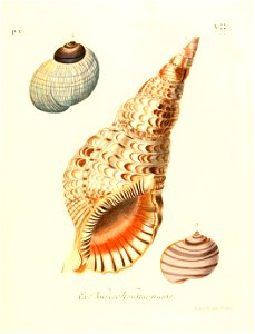 n206_w1150