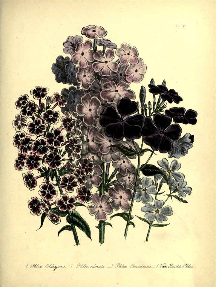 n578_w1150