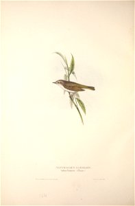 n347_w1150