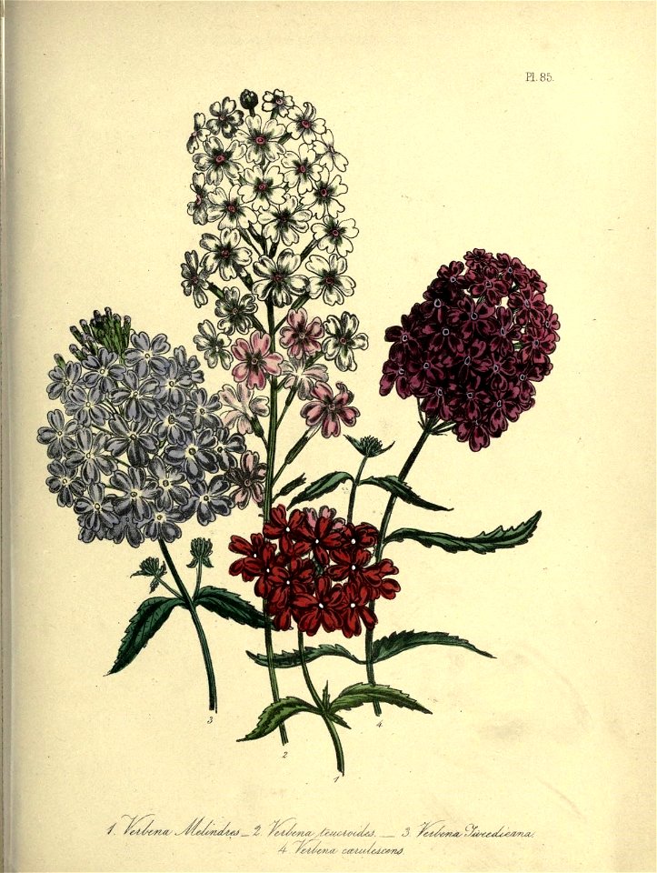 n678_w1150