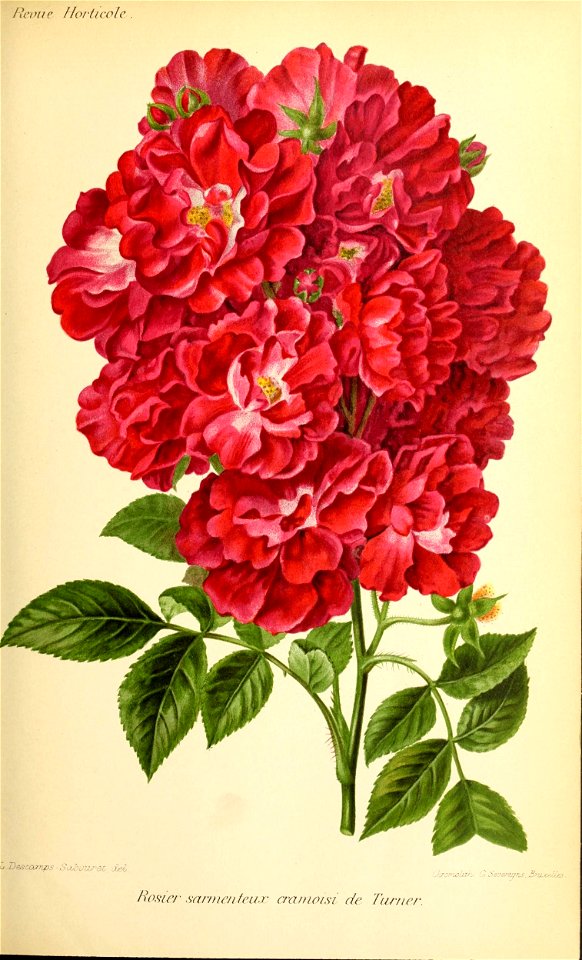 n182_w1150