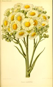 n502_w1150