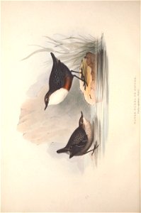 n143_w1150