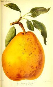 n390_w1150