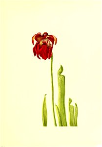 n58_w1150