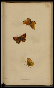 n164_w1150
