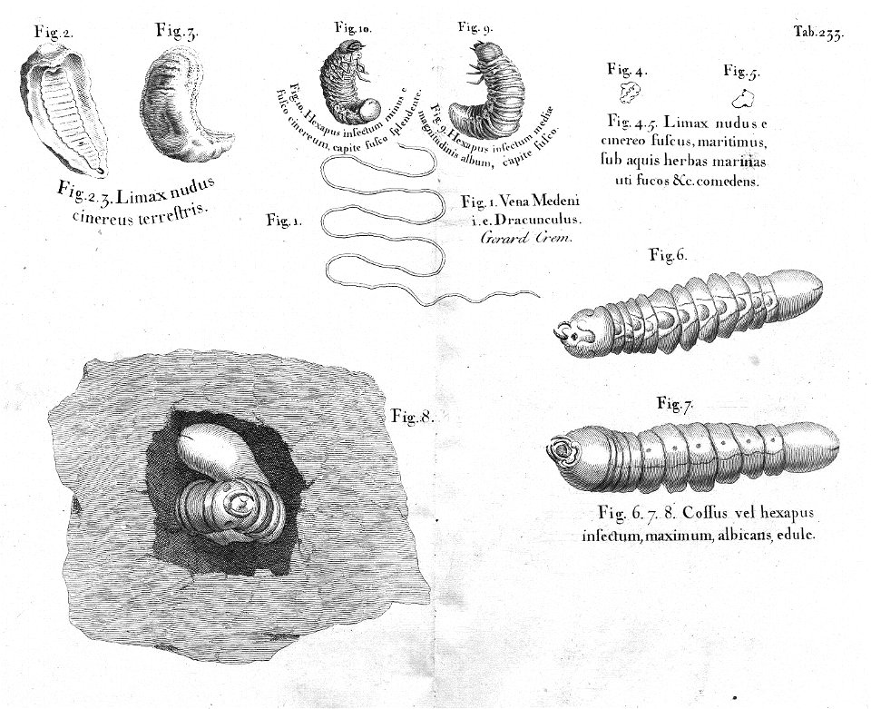 n596_w1150
