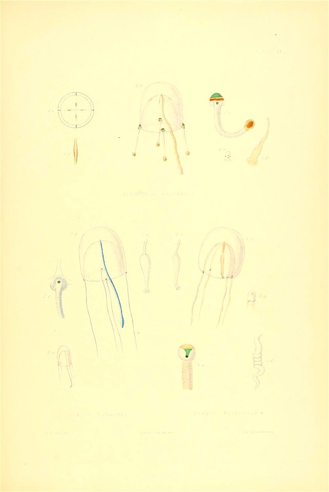 n128_w1150