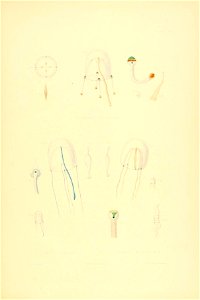 n128_w1150