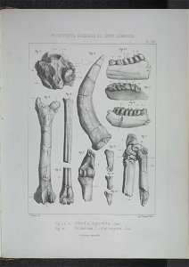 n208_w1150