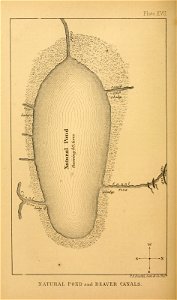 n233_w1150