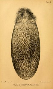 n35_w1150