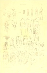 n178_w1150