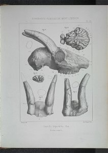 n206_w1150