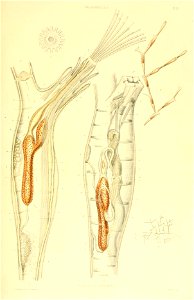 n174_w1150
