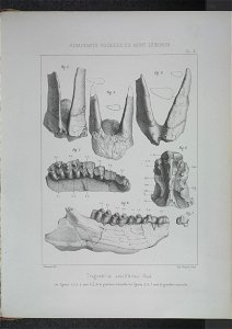 n204_w1150
