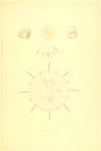 n124_w1150