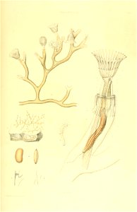 n170_w1150