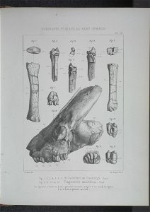 n202_w1150