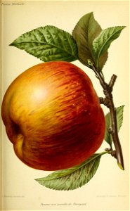 n468_w1150